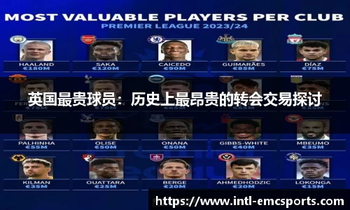 EMC易倍